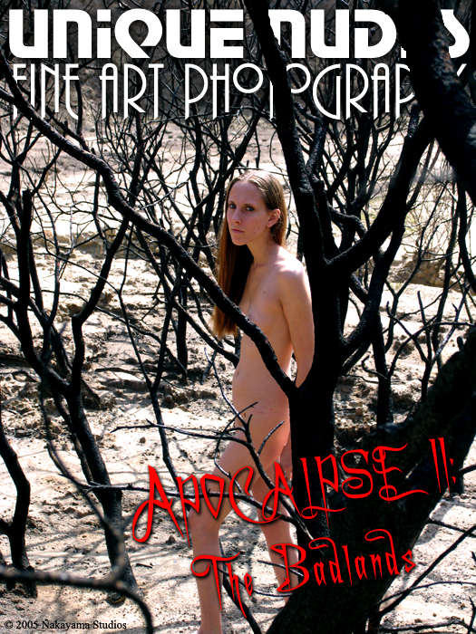 Artistic Nude Figure models: photo of American Artistic Nude Figure model Laurinda from , USA
