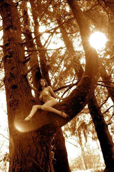 Artistic Nude Figure models: photo of Australian Artistic Nude Figure model ~ DELPHINE ~ from , Australia