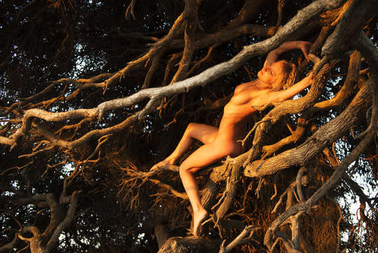 Artistic Nude Figure models: photo of Australian Artistic Nude Figure model Mieka Muse from , Australia