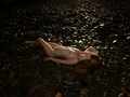 Artistic Nude Figure models: Australia: Cairns Model Hailey Sweeney - Australian Model Nude - Artistic
