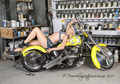 Glamour models: Australia: Sydney Model Exquisite Radiance - Australian Model Glamour
