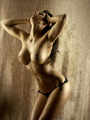 Topless models: Croatia: Rijeka Model Amy - Croatian Model Topless