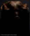 Artistic Nude Figure models: USA: Chicago Model Moon Marie - American Model Nude - Artistic