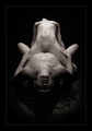 Nude models: UK (Wales): Gwent Model Janine - Welsh (UK) Model Nude - Erotic