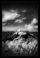 Artistic Nude Figure models: UK (Wales): Gwent Model Janine - Welsh (UK) Model Nude - Artistic