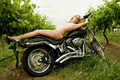 Glamour models: Australia: Singleton Model Tania - Australian Model Glamour