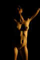 Artistic Nude Figure models: Australia: Melbourne Model Green_Gem - Australian Model Nude - Artistic