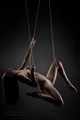 Artistic Nude Figure models: Australia: Brisbane Model Angie Nicole - Australian Model Nude - Artistic
