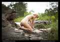 Artistic Nude Figure models: Australia: Melbourne Model Anastasia Smith - Australian Model Nude - Artistic
