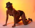 Lingerie models: USA: Baldwinsville Model Shan - American Model Lingerie