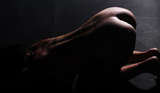 Click here for portfolio and rates