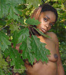 Click here for portfolio and rates