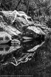 Click here for portfolio and rates