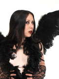 Click here for portfolio and rates